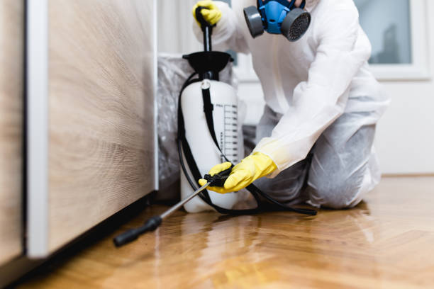 Best Best Pest Control Companies  in Helemano, HI