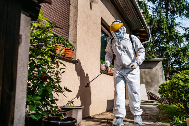 Best Pest Control Near Me  in Helemano, HI