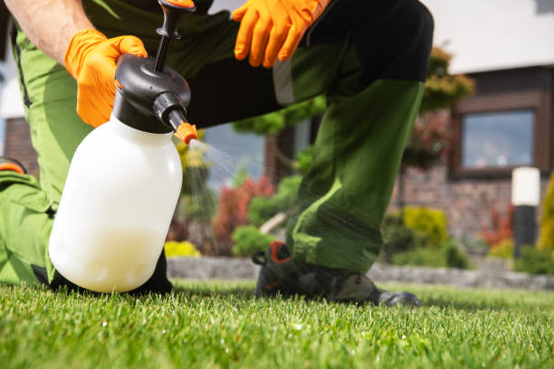 Best Ant Control Services  in Helemano, HI