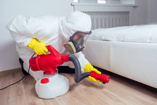 Best Termite Control Services  in Helemano, HI