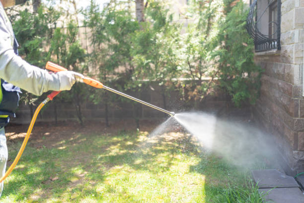 Best Insect Control  in Helemano, HI