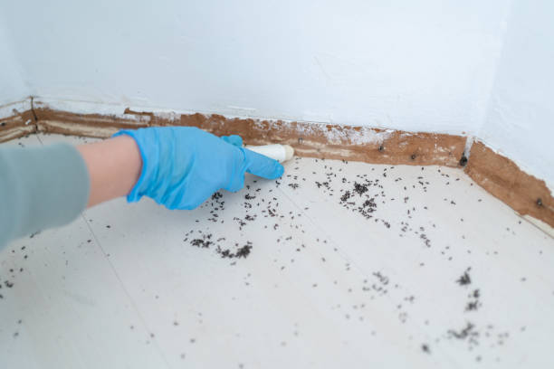 Best Best Pest Control Companies  in Helemano, HI