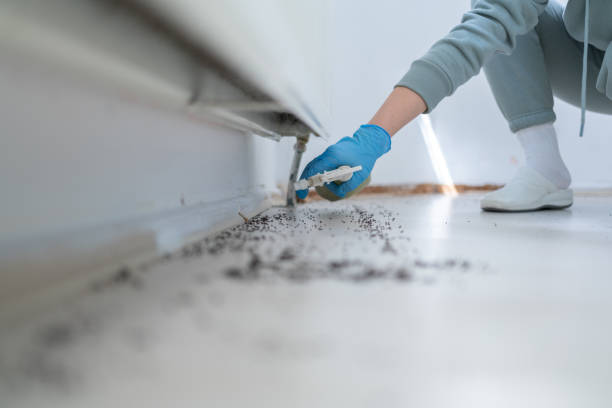 Best Pest Control for Homes  in Helemano, HI