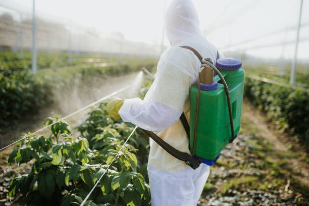 Best Affordable Pest Control Services  in Helemano, HI